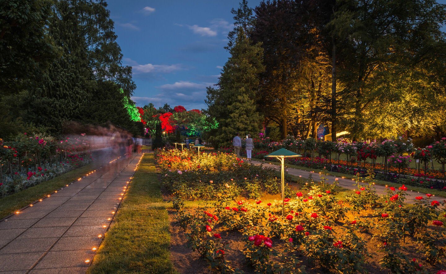 Nacht der tausend Lichter, Foto: Rico Hofmann