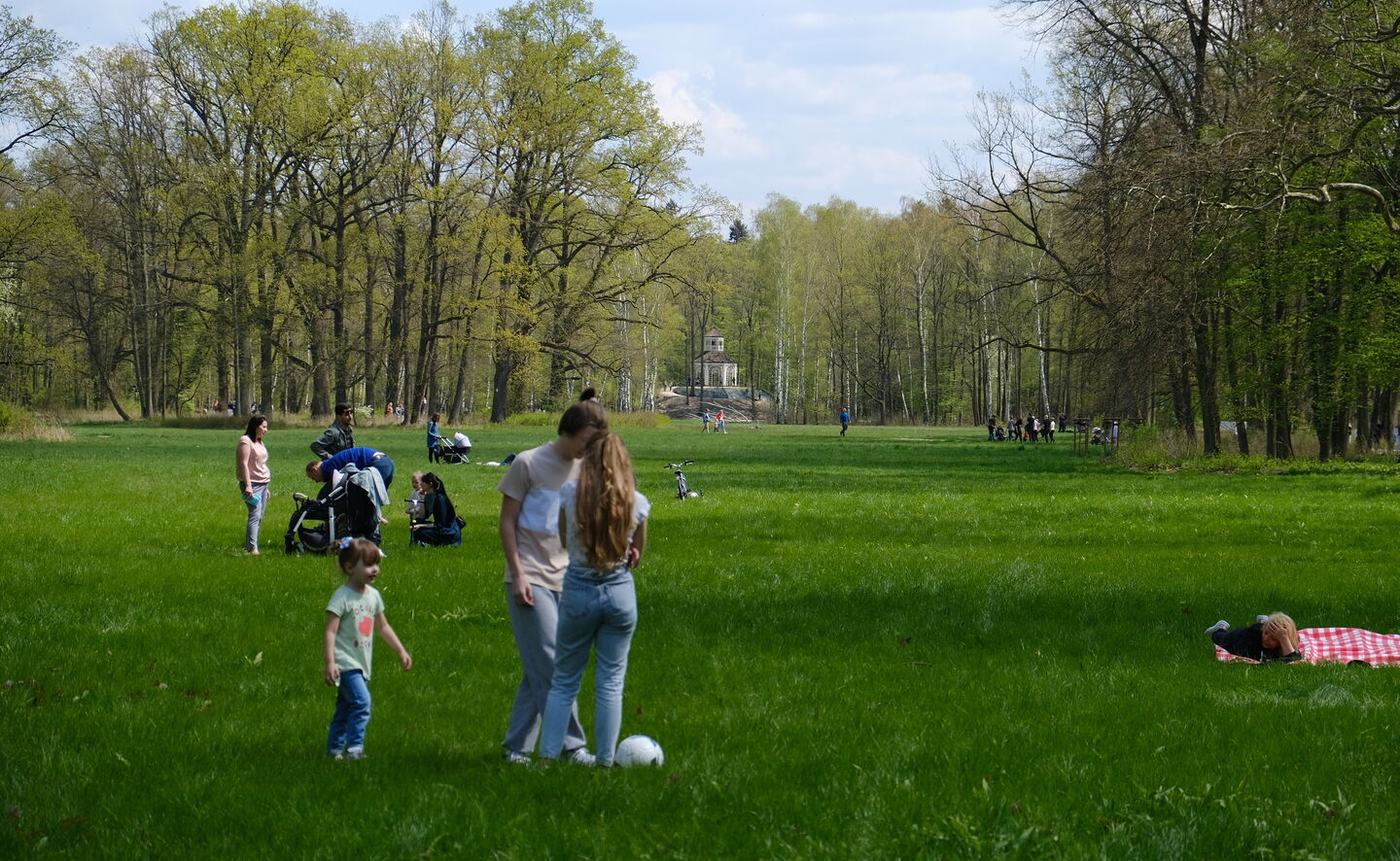 Picknickwiese, &copy; Michał Adamczewski 